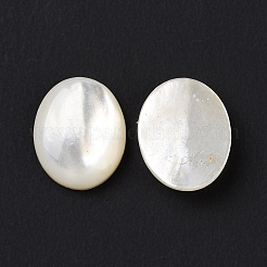 Natural Yellow Shell Cabochons&nbsp;SSHEL-H068-03