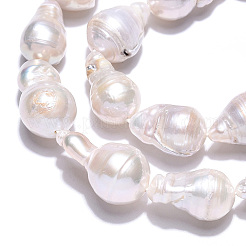 天然バロックパールケシパールビーズ連売り  養殖淡水パール  ラウンド  貝殻色  10~24x9~13mm  穴：0.6mm  約18~32個/連  14.96~15.55インチ（38~39.5cm）&nbsp;PEAR-S019-02E-01