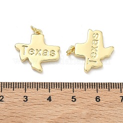 Brass Pendants&nbsp;KK-D229-22G-G