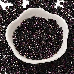 Spray Painted Glass Seed Beads&nbsp;SEED-F005-08A-02