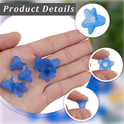 150Pcs Transparent Acrylic Beads&nbsp;OACR-PA0002-05A