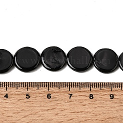 Natural Freshwater Shell Beads Strands&nbsp;SHEL-A006-01C