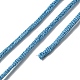 Polyester Embroidery Floss&nbsp;OCOR-C005-B26-3