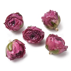 Brass Epoxy Resin Pendants, Inner Dried Flower Pendants, Rose Flower Charm, with Golden Loop, Medium Orchid, 19~27x21~27x19~28.5mm, Hole: 1.6mm