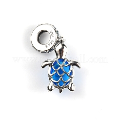 Sterling Silver European Dangle Charms&nbsp;FIND-WH0110-027