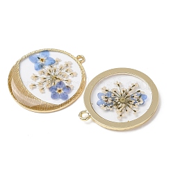 Transparent Resin Pendants&nbsp;RESI-A050-10B-G