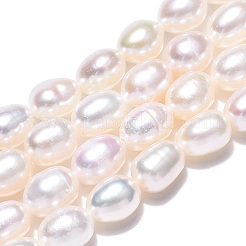 Natural Cultured Freshwater Pearl Beads Strands&nbsp;PEAR-N012-05M
