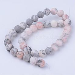 Natural Zebra Jasper Beads Strands&nbsp;G-Q462-6mm-03