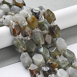 Natural Larvikite Beads Strands&nbsp;G-C182-17-01
