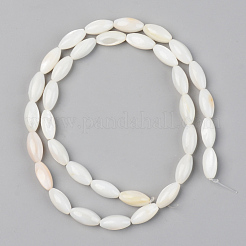 Natural Freshwater Shell Beads Strands&nbsp;SSHEL-R048-008