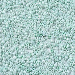 12/0 Glass Seed Beads&nbsp;SEED-S060-A-973