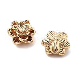 Brass Charms&nbsp;X-KK-L222-002G