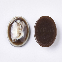 Resin Cabochons&nbsp;RESI-T309-013