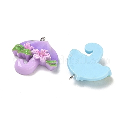 Resin Pendants&nbsp;RE-CBA098D-03P