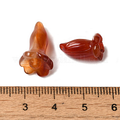 Natural Carnelian Beads&nbsp;G-C054-09F