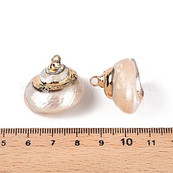 天然石海シェルペンダント  金色の鉄製ループが付いた貝殻型のチャーム  ホワイト  18~26x15~26x17~24mm  穴：1.6~2.5mm&nbsp;SSHEL-N038-59
