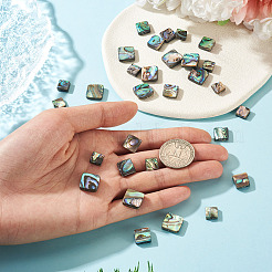 30Pcs 3 Styles Natural Paua Shell Beads&nbsp;BSHE-TA0001-37
