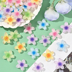 50Pcs 5 Colors Transparent Resin Cabochons&nbsp;RESI-SC0006-24