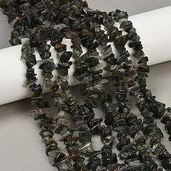 天然石グリーンルチルクォーツビーズ連売り  チップ  2~7x5~17x5~6mm  穴：0.9mm  30.71~31.50''（78~80センチメートル）&nbsp;G-Q060-C03