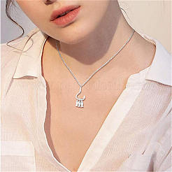 925 Sterling Silver Pendant Necklaces&nbsp;JN948A
