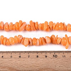 染め天然淡水シェルビーズ連売り  ナゲット  サンゴ  2.5~9x7~22x7~9mm  穴：0.7~0.9mm  約82~92個/連  14.76~15.55インチ（37.5~39.5cm）&nbsp;BSHE-T014-55