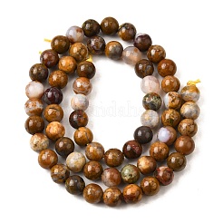 Natural African Opal Beads Strands&nbsp;G-S390-06-6mm