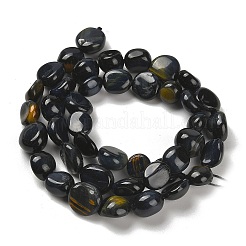 Dyed Natural Blue Tiger Eye Beads Strands&nbsp;G-P497-01E-74