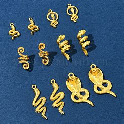 12本6スタイルアロイペンダント  スネークチャーム  ゴールドカラー  20~41x10~19x2~11mm  穴：1.8~7mm  2個/スタイル&nbsp;FIND-FS0003-54