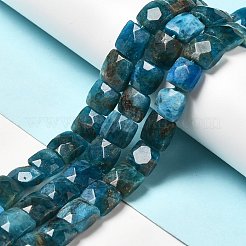 Natural Apatite Beads Strands&nbsp;G-G980-04