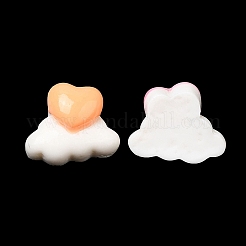 Cartoon Opaque Resin Cabochons&nbsp;RESI-C039-04D