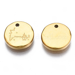 316 Surgical Stainless Steel Charms&nbsp;LS-STAS-S116-418L-G