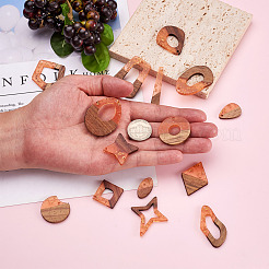 30Pcs 15 Style Transparent Resin & Walnut Wood Pendants&nbsp;RESI-FW0001-04