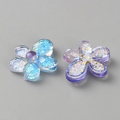 Transparent Resin Cabochones&nbsp;FIND-WH0817-063