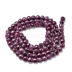 Natural Ruby Beads Strands&nbsp;G-H266-19