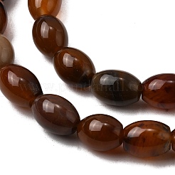 Natural Petrified Wood Beads Strands&nbsp;G-K362-I12-02