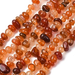 Natural Red Agate Beads Strands&nbsp;G-L655-A01-01B