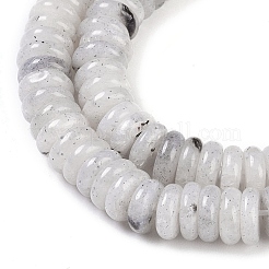 Natural Labradorite Beads Strands&nbsp;G-Q159-B10-01