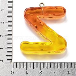 樹脂チャーム  鉄輪のパーツ  a～zの文字  文字Z  38x34.5x7mm  穴：2mm&nbsp;FIND-Q107-01Z-01