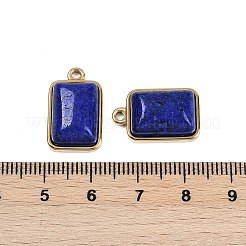 Natural Lapis Lazuli Pendants&nbsp;STAS-K291-04G-03