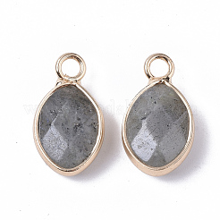 Natural Labradorite Pendants&nbsp;G-S359-014A