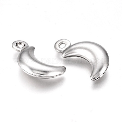 Tarnish Resistant 304 Stainless Steel Pendants&nbsp;X-STAS-I138-05P