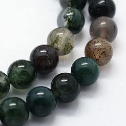 Natural Indian Agate Beads Strands&nbsp;G-I199-05-8mm