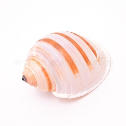 Natural Shell&nbsp;DJEW-WH0010-70
