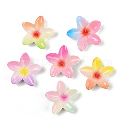 不透明な樹脂エナメルカボション  花  ツートン  ミックスカラー  21x23x7mm&nbsp;CRES-D308-09