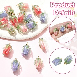 6個3色透明アクリルパーツ  花  真鍮のパーツと  ミックスカラー  20x12~13x12~13mm  穴：1.6mm  2個/カラー&nbsp;SACR-YW0002-09