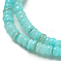 Dyed Natural Freshwater Shell Beads Strands&nbsp;BSHE-G039-07C