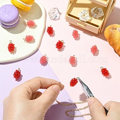 12Pcs 2 Colors Resin Pendants&nbsp;RESI-CJ0004-71