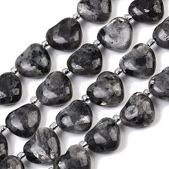 Natural Larvikite Beads Strands&nbsp;G-NH0069-A10