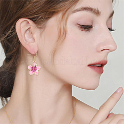6 Pairs 304 Stainless Steel Dangle Earrings&nbsp;EJEW-YW00014