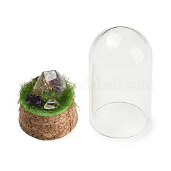 Natural Amethyst Nuggets Display Decoration with Glass Dome Cloche Cover&nbsp;DJEW-B009-04B